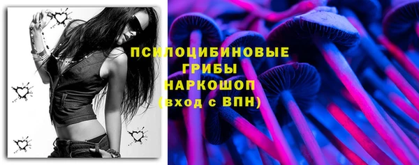 тгк Кулебаки