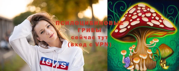 тгк Кулебаки