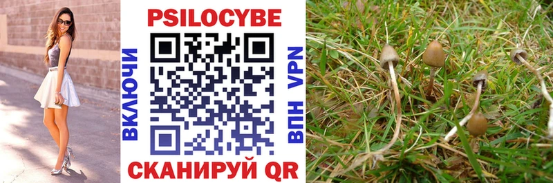 Купить закладки  Яблоновский  Галлюциногенные грибы Psilocybine cubensis 